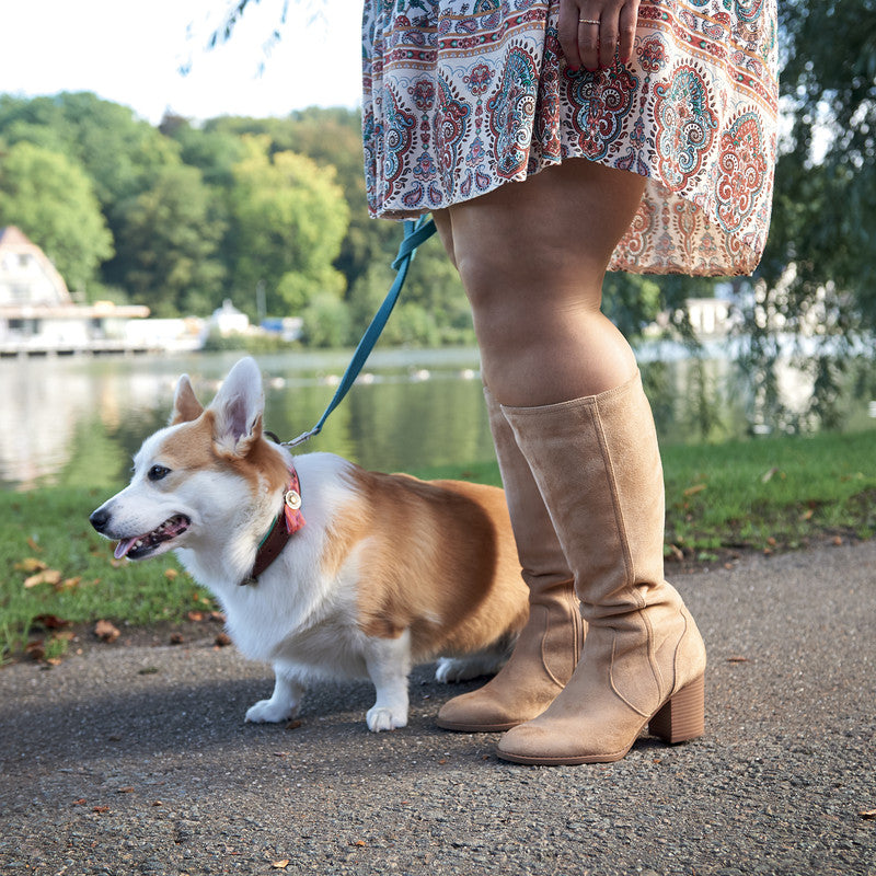 Dog walking boots wide calf hotsell