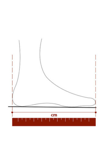 Calves measurement 2025